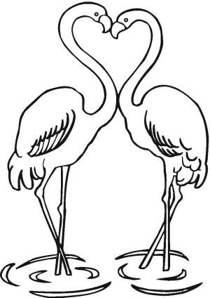 Flamingo boyama sayfası,  coloring page, Çift Flamingolar, 