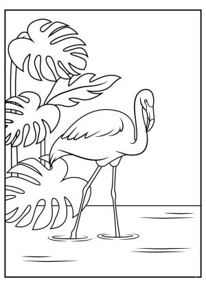 Flamingo boyama sayfası,  coloring page, Flamingo Bedava Resimler, 