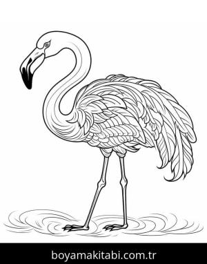 Flamingo boyama sayfası – boyama etkinliği, çocuk aktivitesi