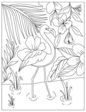 Flamingo boyama sayfası,  coloring page, Çiçekli ve Yapraklı Flamingo, 