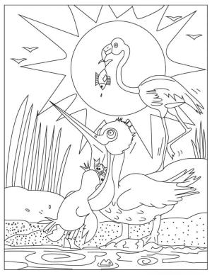 Flamingo boyama sayfası,  coloring page, Ücretsiz Flamingo, 