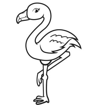 Flamingo boyama sayfası,  coloring page, Tatlı Flamingo, 