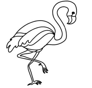 Flamingo boyama sayfası,  coloring page, Büyük Flamingo, 