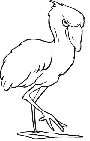 Flamingo boyama sayfası,  coloring page, Kızgın Flamingo, 