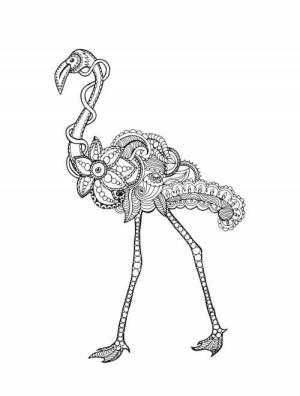 Flamingo boyama sayfası,  coloring page, Flamingo Yetişkinler Içindir, 