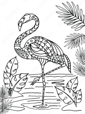 Flamingo boyama sayfası,  coloring page, Şaşırtıcı Flamingo, 