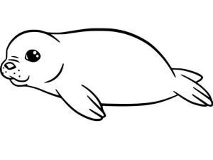 Fok Balığı boyama sayfası, Seals coloring page, Fok Yavrusu, 