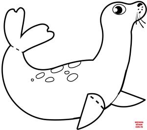 Fok Balığı boyama sayfası, Seals coloring page, , seals cute seal 