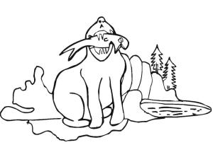 Fok Balığı boyama sayfası, Seals coloring page, Mühür Balık Yakalama, 