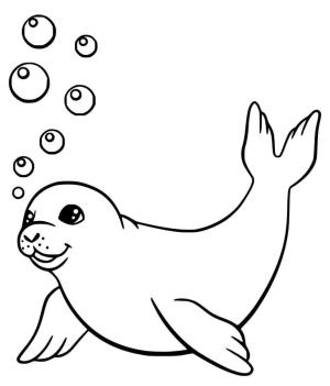 Fok Balığı boyama sayfası, Seals coloring page, Yüzme Mührü, 