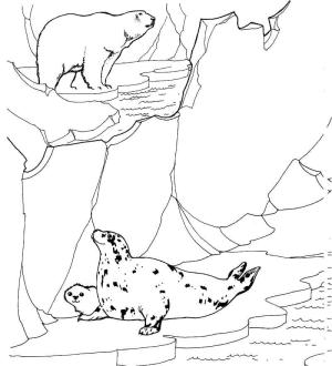 Fok Balığı boyama sayfası, Seals coloring page, Kutup Ayısı ve Mühürler, 