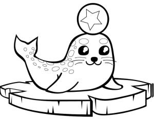 Fok Balığı boyama sayfası, Seals coloring page, Toplu Bebek Mührü, 