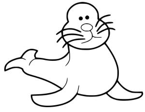 Fok Balığı boyama sayfası, Seals coloring page, Karikatür Mühür, 