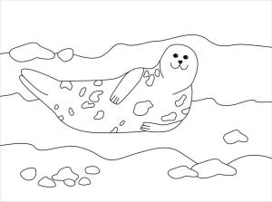 Fok Balığı boyama sayfası, Seals coloring page, Sevimli Yüzme Mührü, 