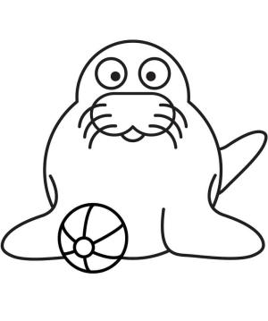 Fok Balığı boyama sayfası, Seals coloring page, Sevimli Mühür, 