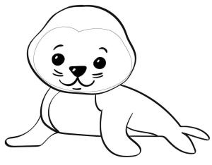 Fok Balığı boyama sayfası, Seals coloring page, Küçük Mühür, 