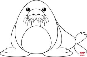 Fok Balığı boyama sayfası, Seals coloring page, , seals cartoon seal 