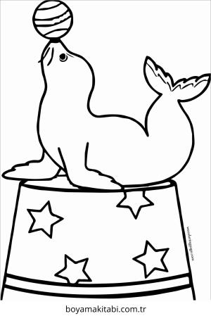 Fok boyama sayfası – basit çizim, kolay boyama