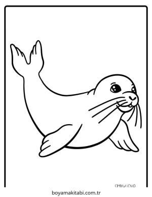 Fok boyama sayfası – çizgi film temalı, basit çizim