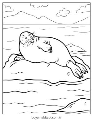 Fok boyama sayfası – kolay boyama, eğitici aktivite