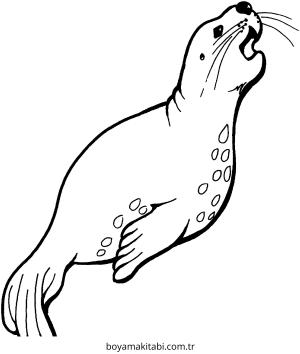 Fok boyama sayfası – eğlenceli etkinlik, el becerilerini geliştirir