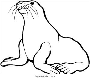 Fok boyama sayfası – sevimli karakter, sanatsal çalışma