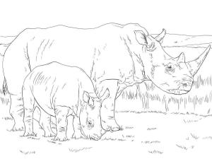 Gergedan boyama sayfası, Rhino coloring page, Beyaz Gergedan Anne ve Bebek, 