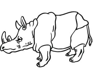 Gergedan boyama sayfası, Rhino coloring page, Normal Gergedan, 