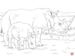 Gergedan boyama sayfası, Rhino coloring page, , rhino white rhino mother and baby 