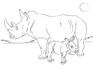 Gergedan boyama sayfası, Rhino coloring page, Anne Gergedan ve Bebeği, 