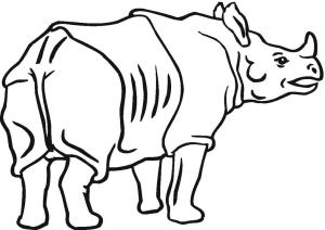 Gergedan boyama sayfası, Rhino coloring page, Trasero de Rinoceronte, 