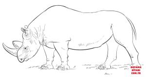 Gergedan boyama sayfası, Rhino coloring page, , rhino african rhino 