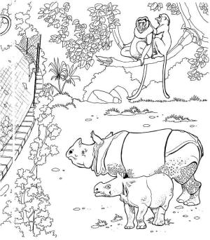 Gergedan boyama sayfası, Rhino coloring page, Hayvanat bahçesindeki Sumatra Gergedanları, 