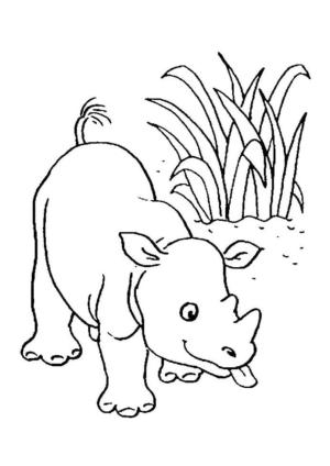 Gergedan boyama sayfası, Rhino coloring page, Sevimli Gergedan, 