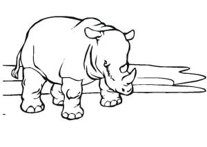 Gergedan boyama sayfası, Rhino coloring page, Gergedan Yüzü, 