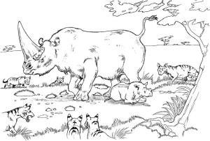 Gergedan boyama sayfası, Rhino coloring page, Anne ve Bebek Gergedan, 