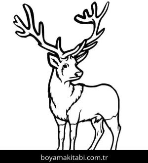 Geyik Boyama