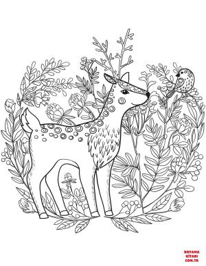 Geyik boyama sayfası, Deers coloring page, , deers fawn 