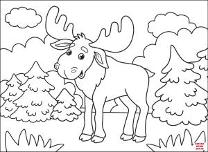 Geyik boyama sayfası, Deers coloring page, , deers moose 