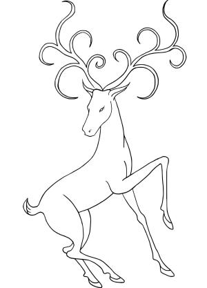 Geyik boyama sayfası, Deers coloring page, , deers beautiful deer 