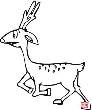 Geyik boyama sayfası, Deers coloring page, , deers deer 