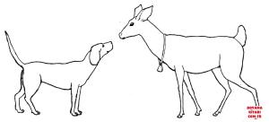 Geyik boyama sayfası, Deers coloring page, , deers deer and dog 