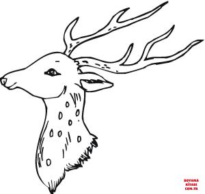 Geyik boyama sayfası, Deers coloring page, , deers head of deer 