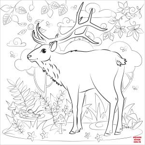 Geyik boyama sayfası, Deers coloring page, , deers elk 