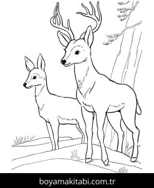 Geyik boyama sayfası – yaratıcılık, eğlenceli etkinlik