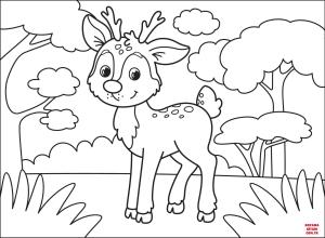 Geyik boyama sayfası, Deers coloring page, , deers deer 