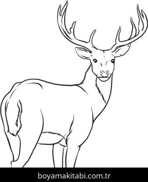 Geyik Boyama