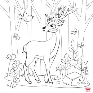 Geyik boyama sayfası, Deers coloring page, , deers reindeer 