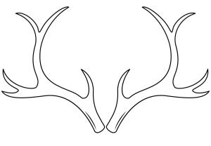 Geyik boyama sayfası, Deers coloring page, , deers reindeer antlers 