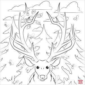 Geyik boyama sayfası, Deers coloring page, , deers antlers 